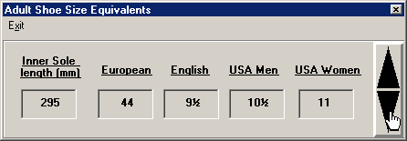 Shoe Size Equivalence Converter