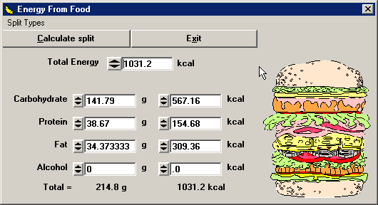 Energy From Food Calculator screenshot